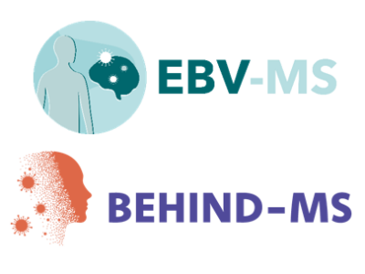 Epstein-Barr-Virus (EBV) und MS